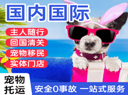桂林航空运输国际宠物托运 【国